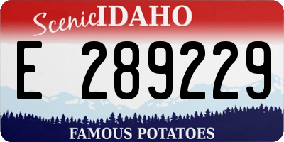 ID license plate E289229