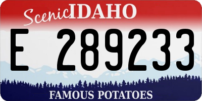 ID license plate E289233