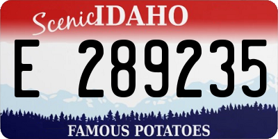 ID license plate E289235
