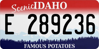 ID license plate E289236