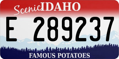ID license plate E289237