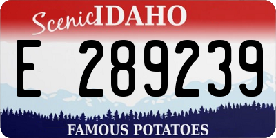 ID license plate E289239