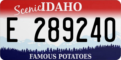 ID license plate E289240