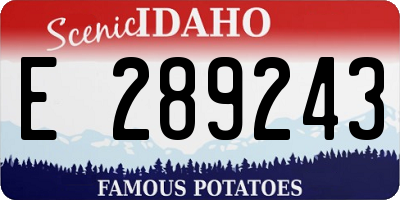 ID license plate E289243