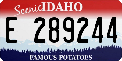 ID license plate E289244