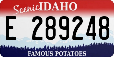ID license plate E289248