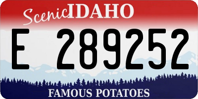 ID license plate E289252