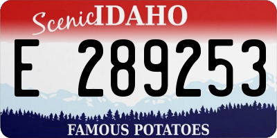 ID license plate E289253