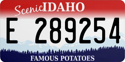 ID license plate E289254