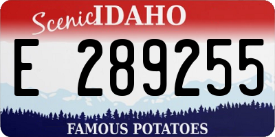 ID license plate E289255