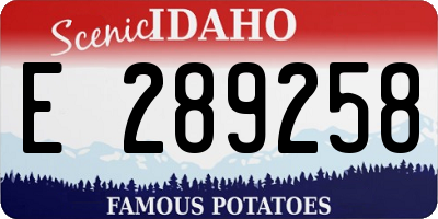 ID license plate E289258