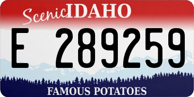 ID license plate E289259