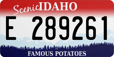 ID license plate E289261