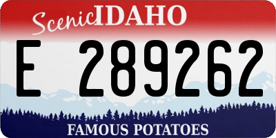 ID license plate E289262