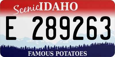 ID license plate E289263