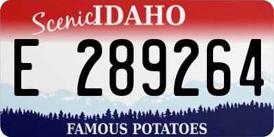 ID license plate E289264