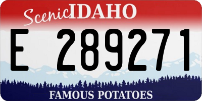 ID license plate E289271