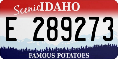 ID license plate E289273