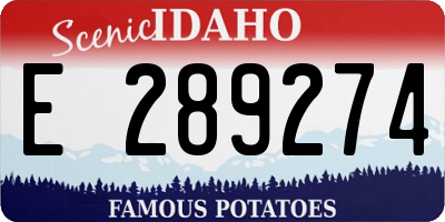 ID license plate E289274