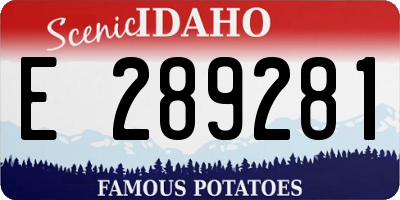 ID license plate E289281