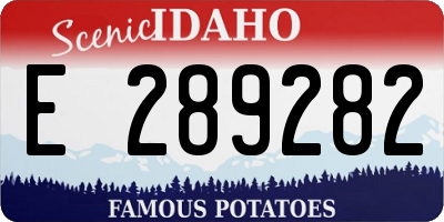 ID license plate E289282