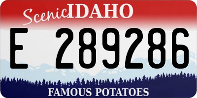 ID license plate E289286