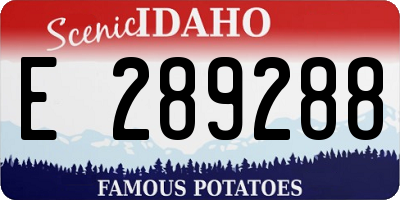 ID license plate E289288