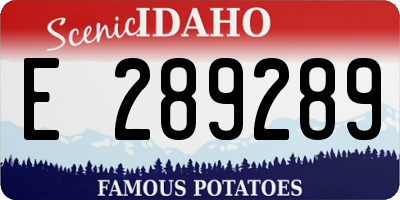 ID license plate E289289