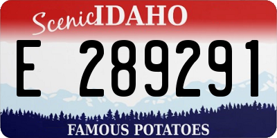 ID license plate E289291