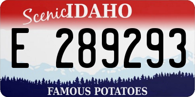 ID license plate E289293