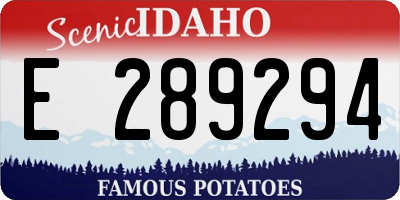 ID license plate E289294