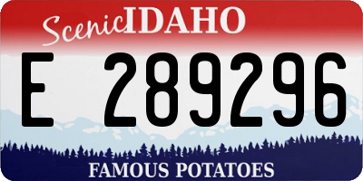 ID license plate E289296