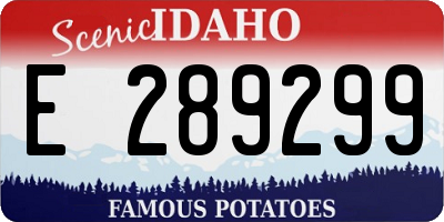 ID license plate E289299