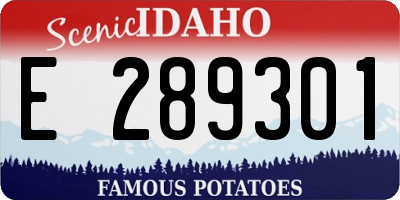 ID license plate E289301