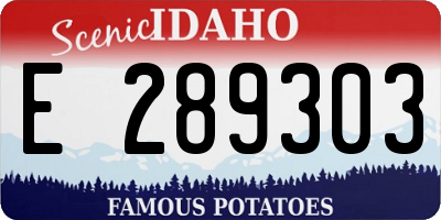 ID license plate E289303