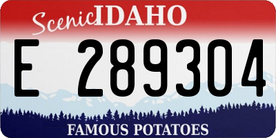 ID license plate E289304
