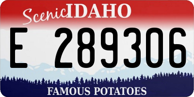 ID license plate E289306
