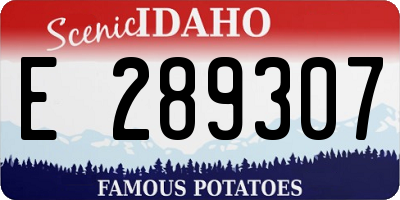 ID license plate E289307