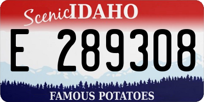ID license plate E289308