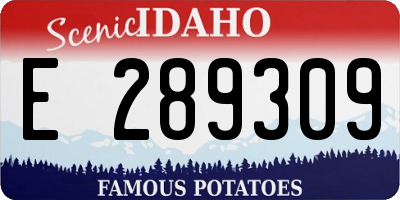 ID license plate E289309