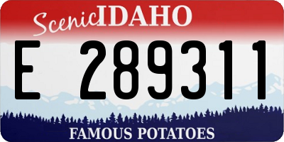 ID license plate E289311