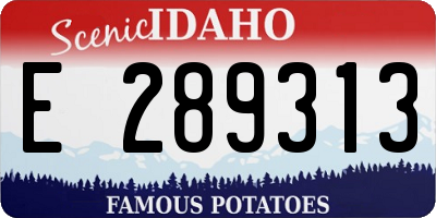 ID license plate E289313