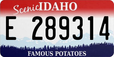 ID license plate E289314