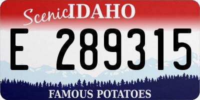 ID license plate E289315