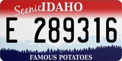 ID license plate E289316