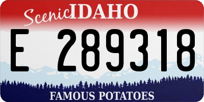 ID license plate E289318