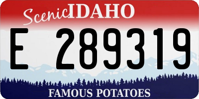 ID license plate E289319