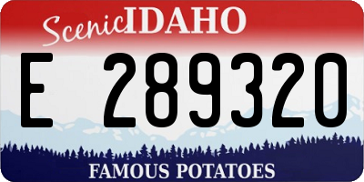 ID license plate E289320