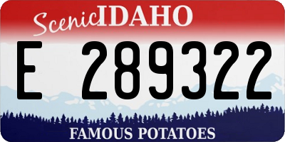 ID license plate E289322