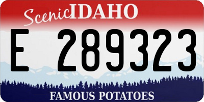 ID license plate E289323